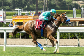 Santa Anita Horse Racing