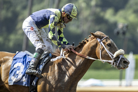 Santa Anita Horse Racing