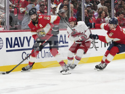 Hurricanes Panthers Hockey