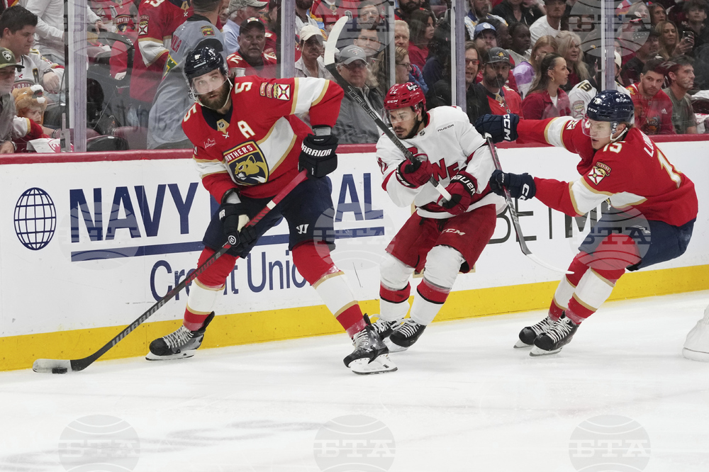 Hurricanes Panthers Hockey