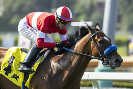 Santa Anita Horse Racing