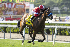 Santa Anita Horse Racing