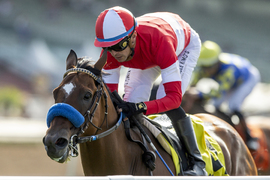 Santa Anita Horse Racing