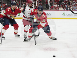 Hurricanes Panthers Hockey