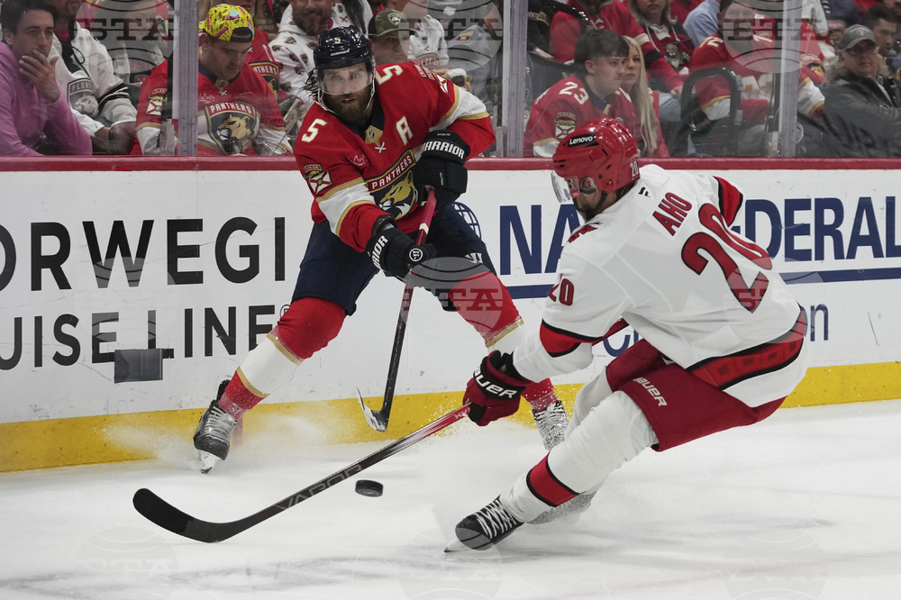 Hurricanes Panthers Hockey