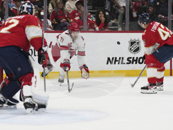 Hurricanes Panthers Hockey