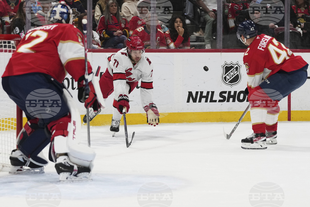 Hurricanes Panthers Hockey