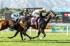 Santa Anita Horse Racing