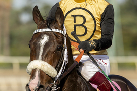 Santa Anita Horse Racing