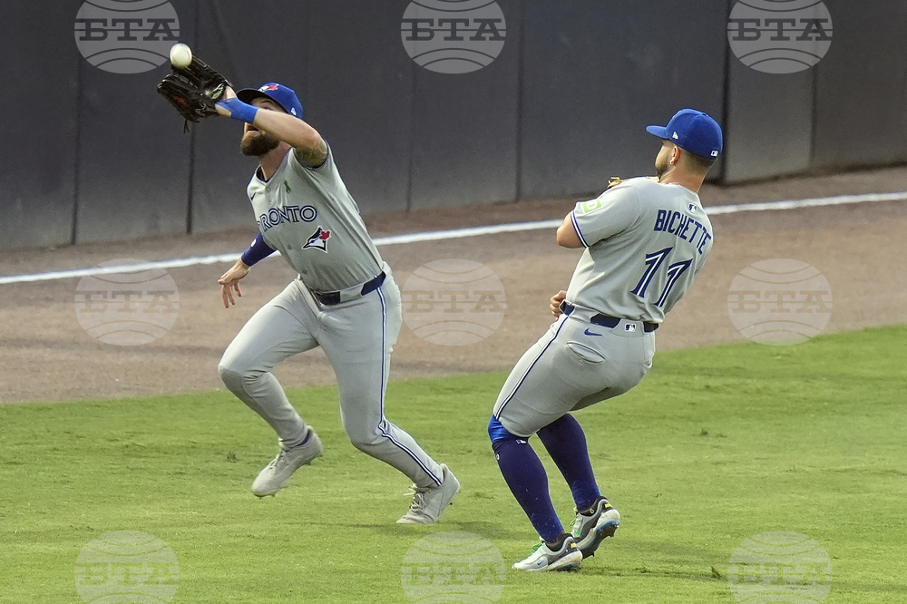 Blue Jays Rays Baseball