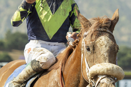 Santa Anita Horse Racing