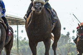 Santa Anita Horse Racing
