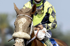Santa Anita Horse Racing