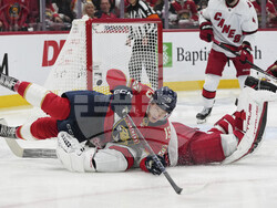 Hurricanes Panthers Hockey