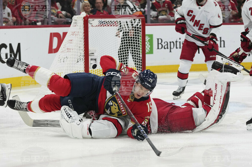 Hurricanes Panthers Hockey