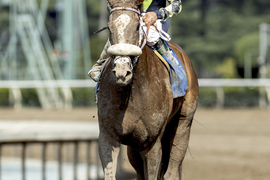 Santa Anita Horse Racing