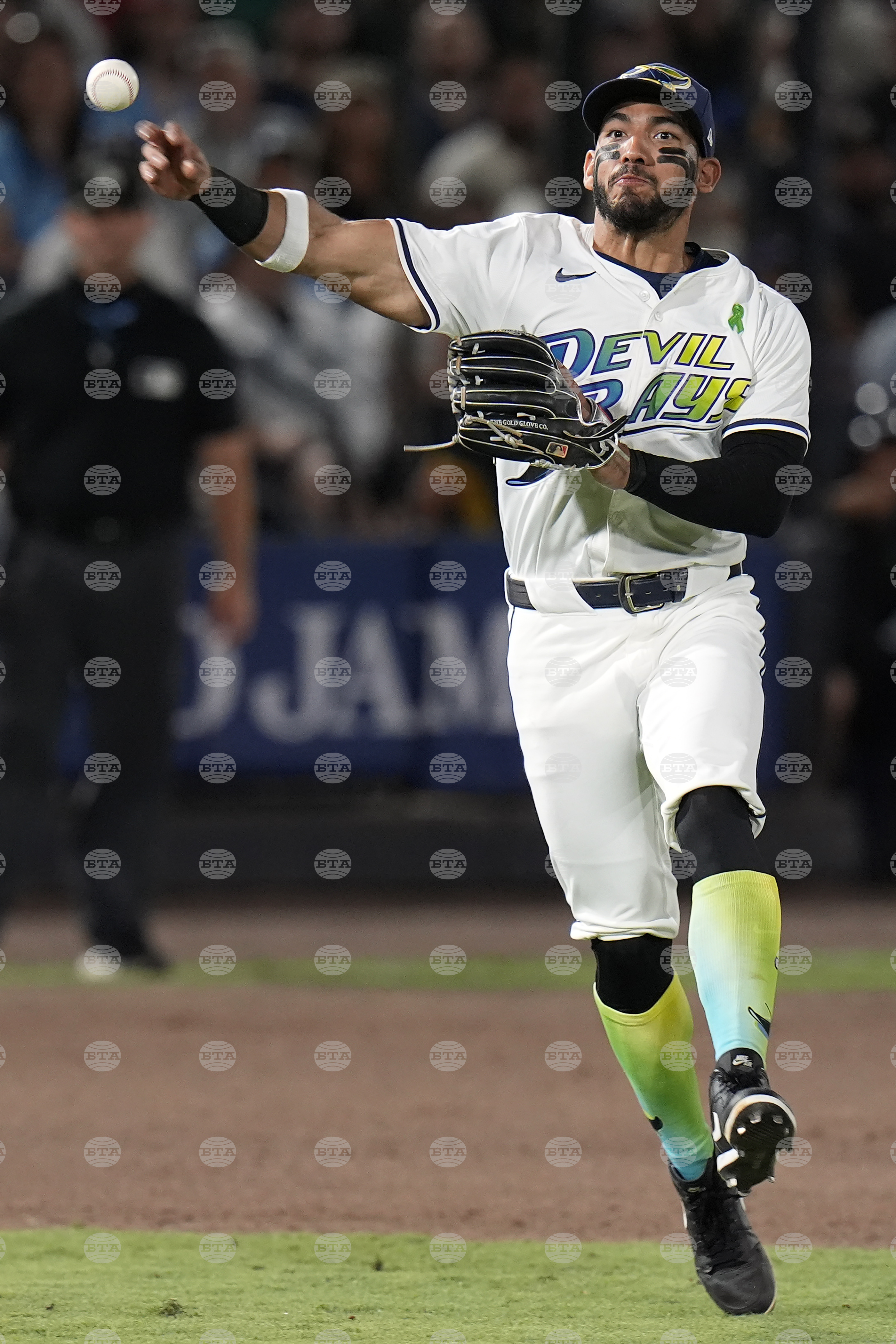 Blue Jays Rays Baseball