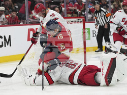 Hurricanes Panthers Hockey