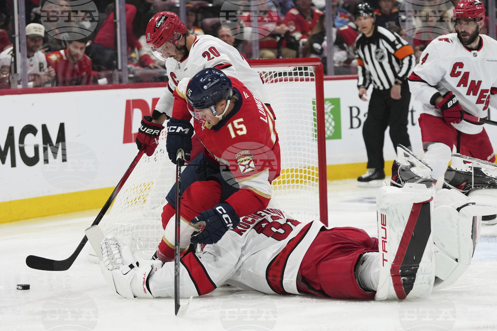 Hurricanes Panthers Hockey