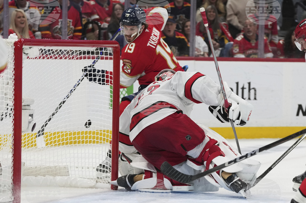 Hurricanes Panthers Hockey