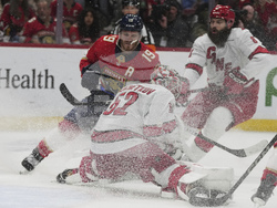 Hurricanes Panthers Hockey