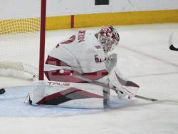 Hurricanes Panthers Hockey