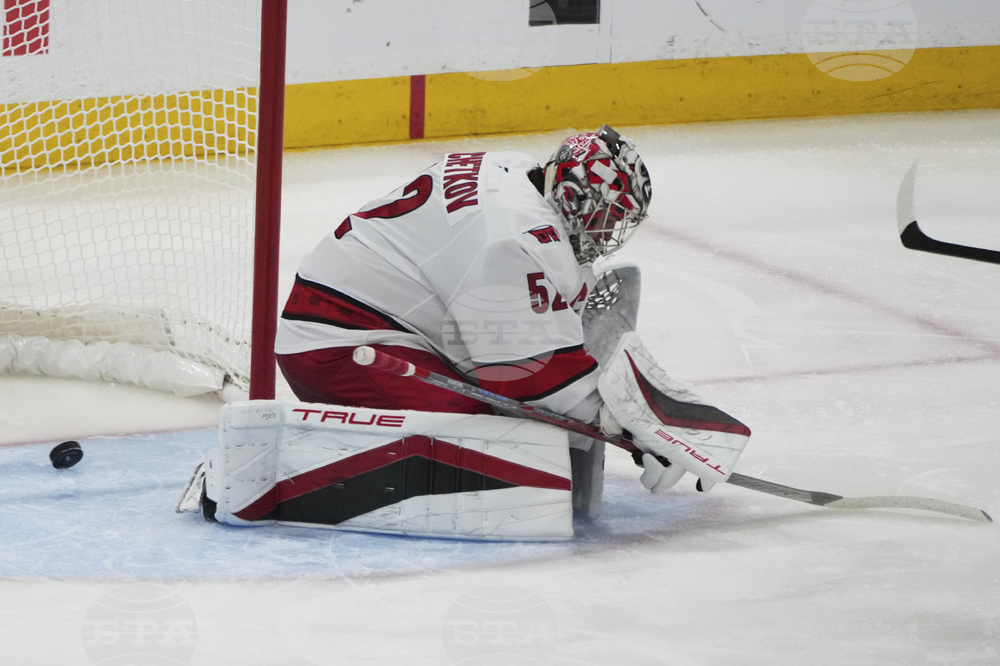 Hurricanes Panthers Hockey