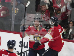 Hurricanes Panthers Hockey