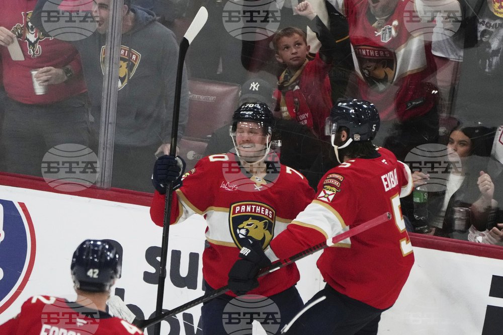 Hurricanes Panthers Hockey