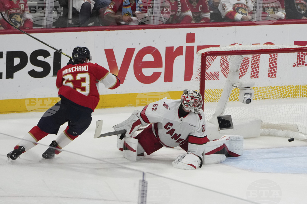 Hurricanes Panthers Hockey