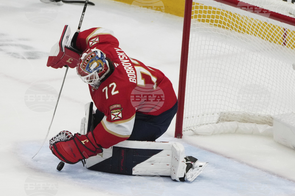 Hurricanes Panthers Hockey