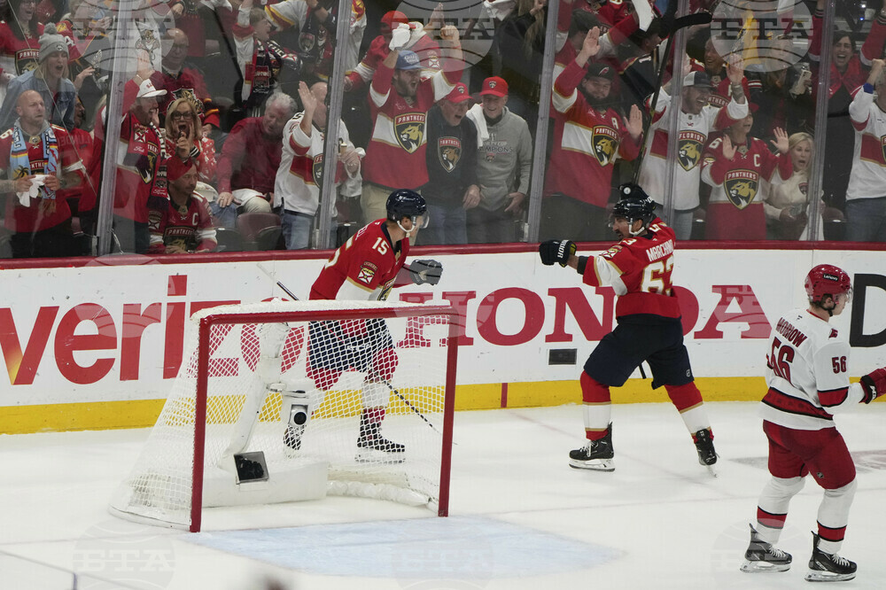 Hurricanes Panthers Hockey