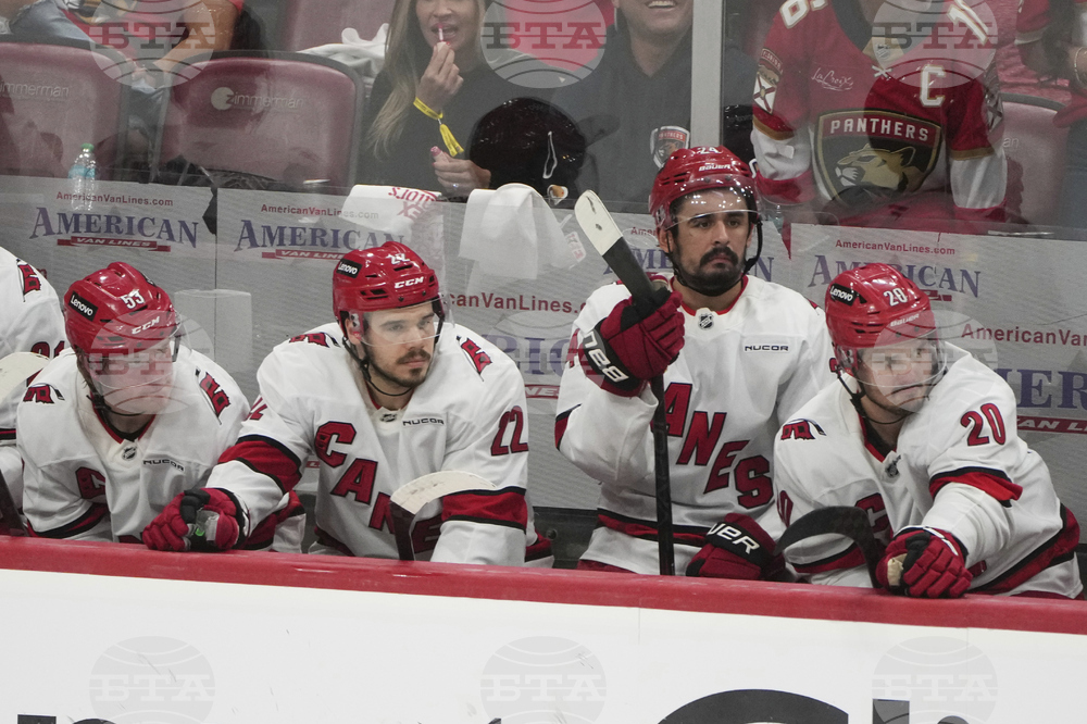 Hurricanes Panthers Hockey