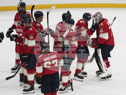 Hurricanes Panthers Hockey