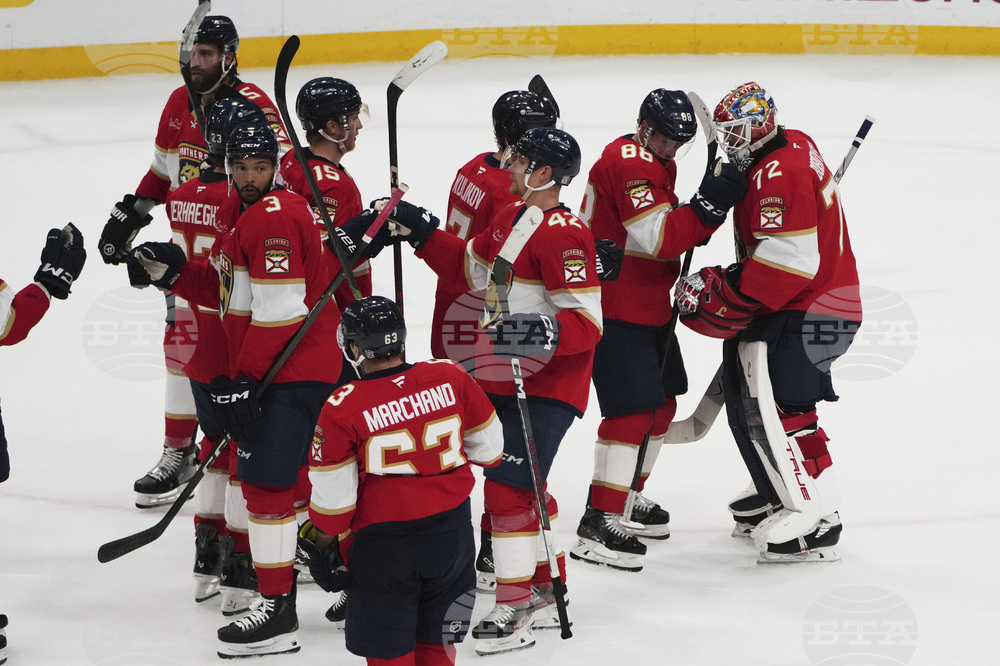 Hurricanes Panthers Hockey