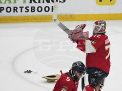 Hurricanes Panthers Hockey