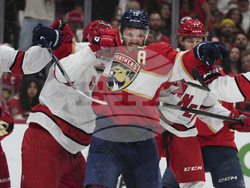 Hurricanes Panthers Hockey