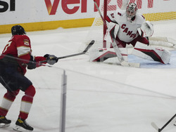 Hurricanes Panthers Hockey