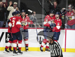 Hurricanes Panthers Hockey