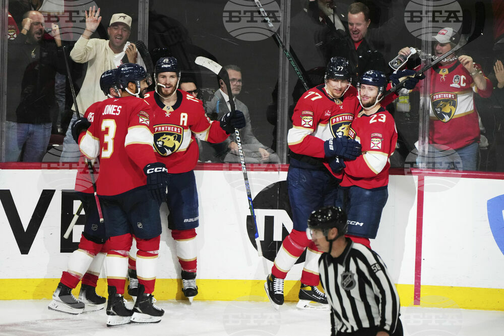 Hurricanes Panthers Hockey