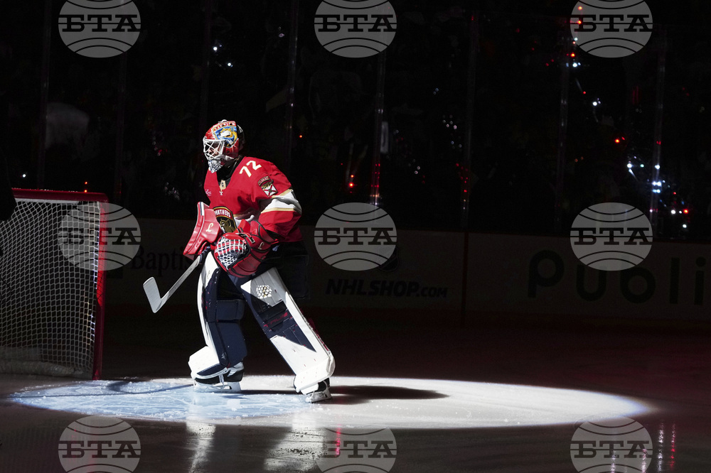 Hurricanes Panthers Hockey