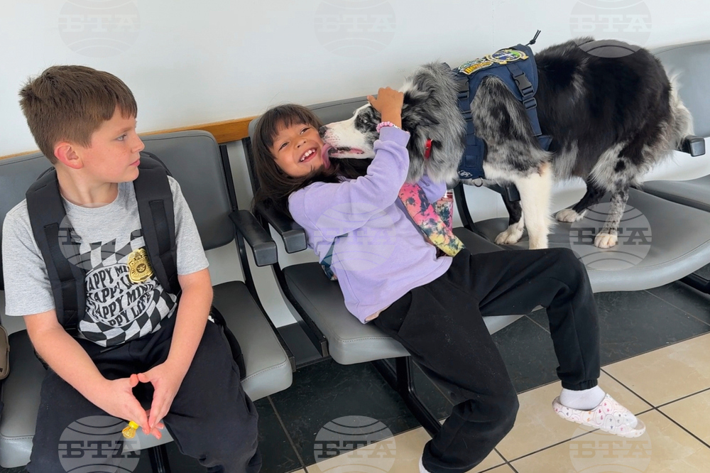 Airport Pup Patrol