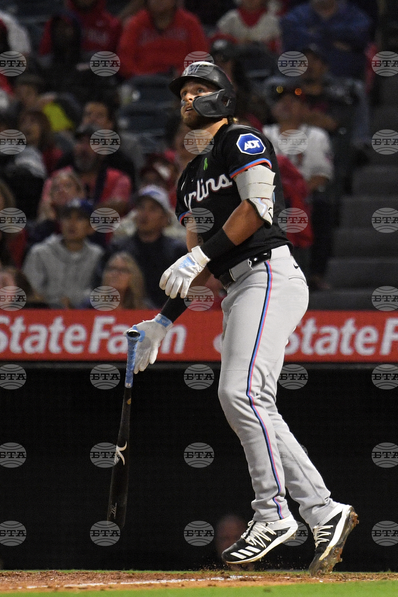 Marlins Angels Baseball