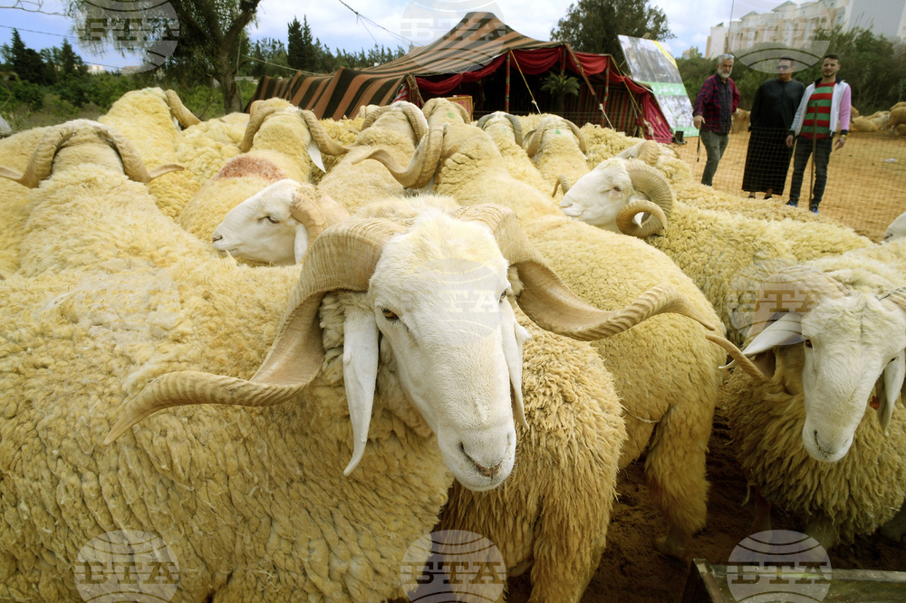 Algeria Eid