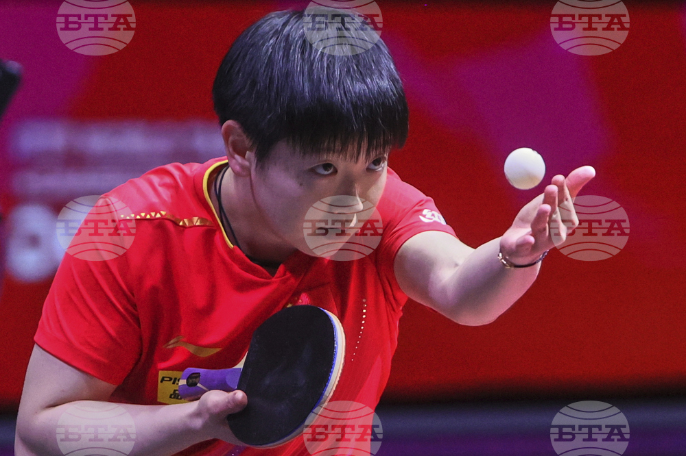 Qatar World Table Tennis