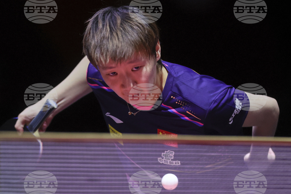 Qatar World Table Tennis