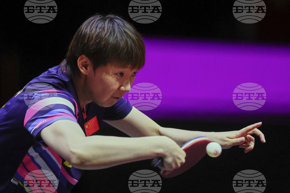 Qatar World Table Tennis