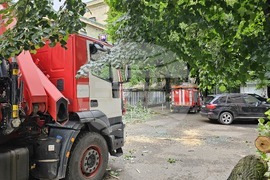 Русе - паднало дърво - щети