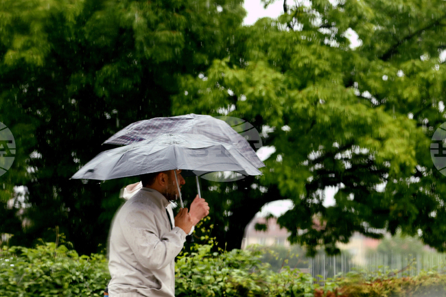 Аварийните екипи на Столичната община са реагирали през нощта на 15 сигнала, свързани с вятъра и валежите