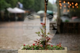 Столица - ежедневие - дъжд